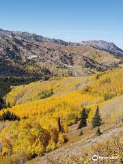 Wasatch Crest Trail