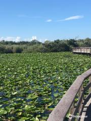 Sendero Anhinga