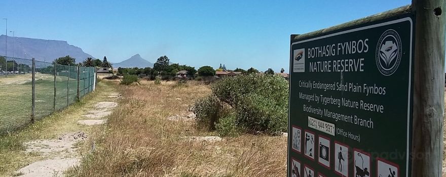 Bothasig Fynbos Nature Reserve