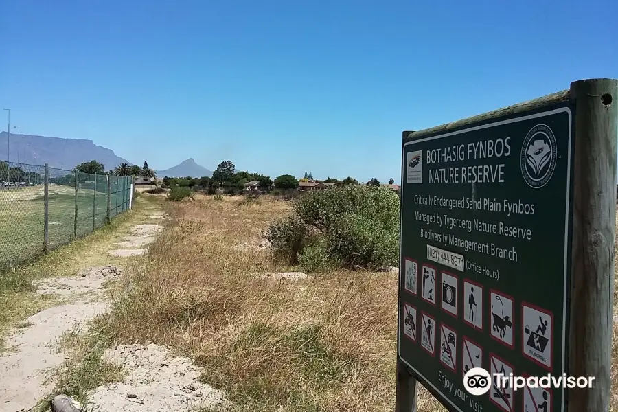 Bothasig Fynbos Nature Reserve