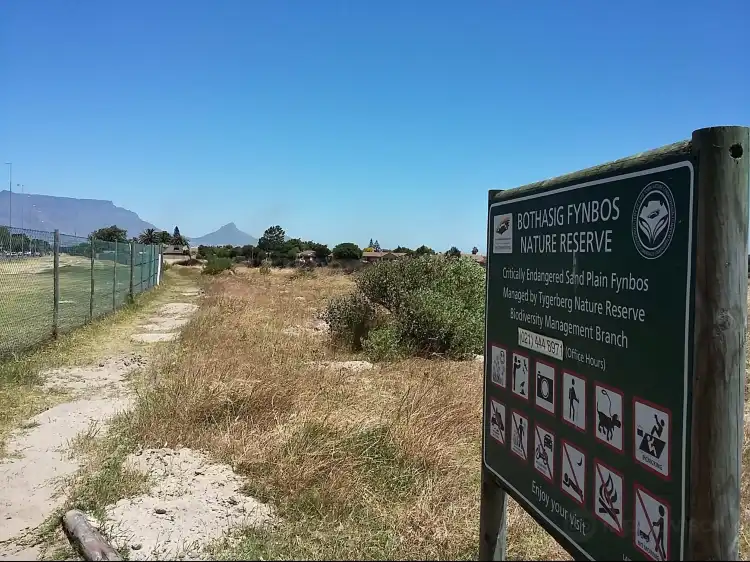 Hotels in Edgemead