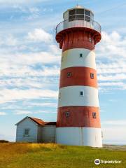 Cape Pine Lighthouse