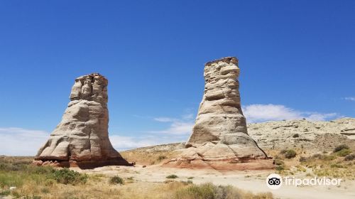 Elephant's Feet