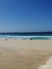 Santa Monica Beach