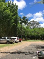 Bamboo Land Nursery & Parklands