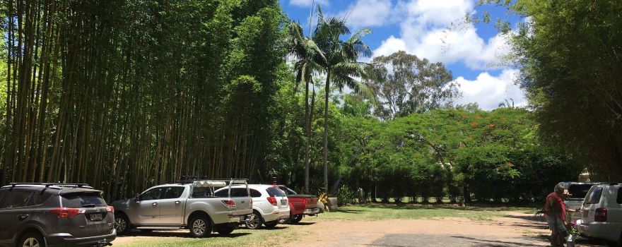 Bamboo Land Nursery & Parklands