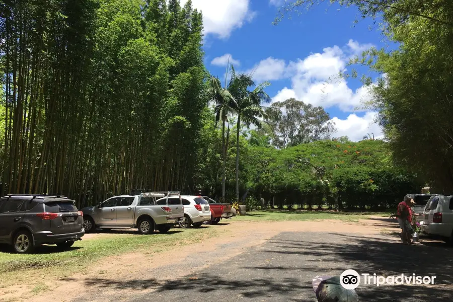 Bamboo Land Nursery & Parklands