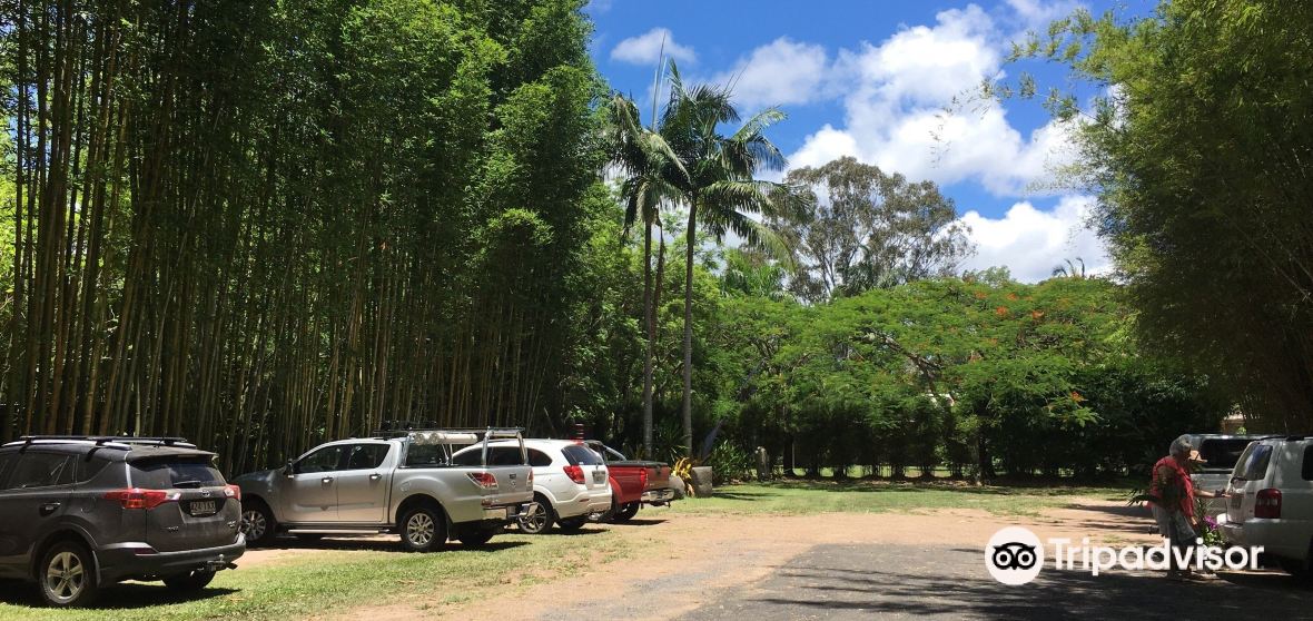 Torbanlea Travel Guide 2023 Things to Do, What To Eat & Tips