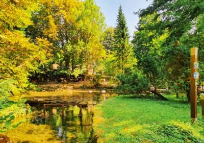 Сараєвський кантон