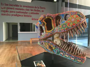 Museum of Evolution Tehuacán