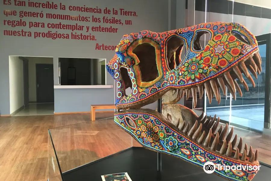 Museo de la Evolución Tehuacán