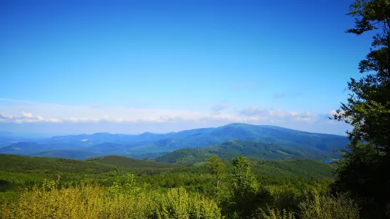 Galya Lookout