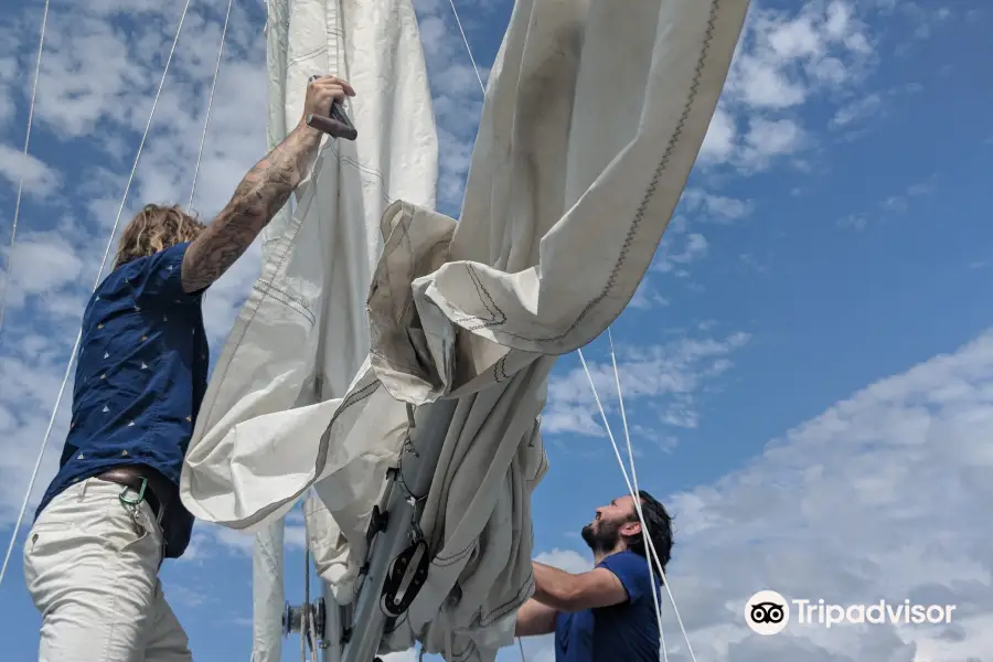 Finger Lakes Sailing Charter