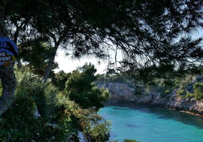 Playa de Cala Pi