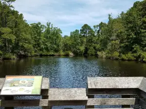 Nags Head Woods Preserve