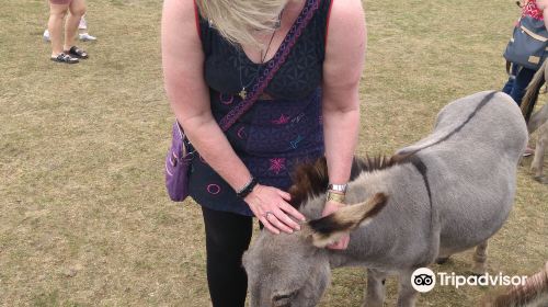 The Wonkey Donkey Visitors Centre