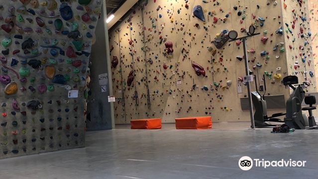 Kletterhalle Linz/Auwiesen