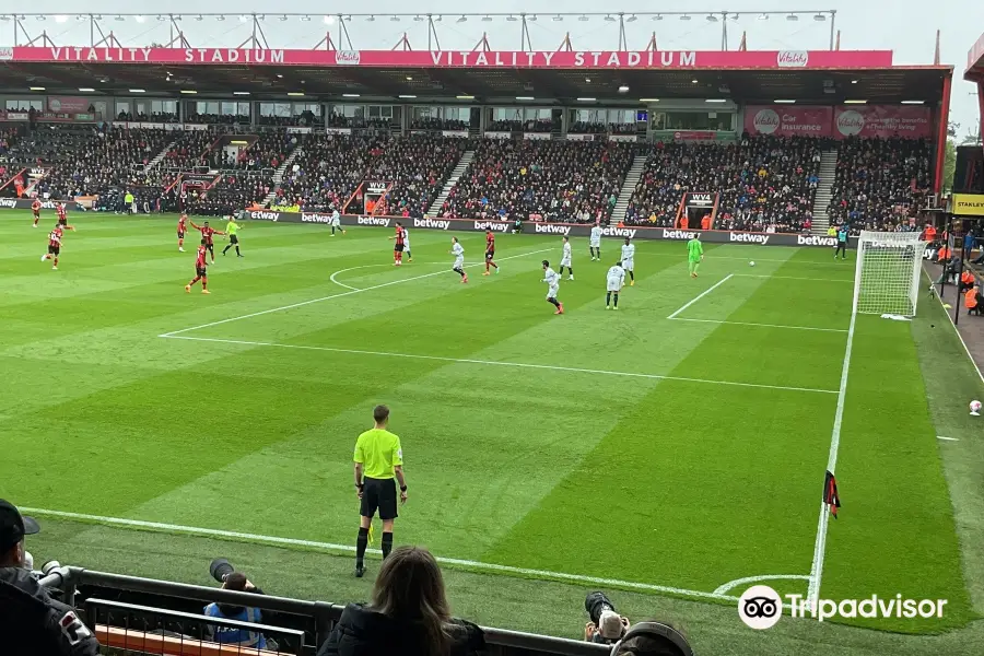 Vitality Stadium