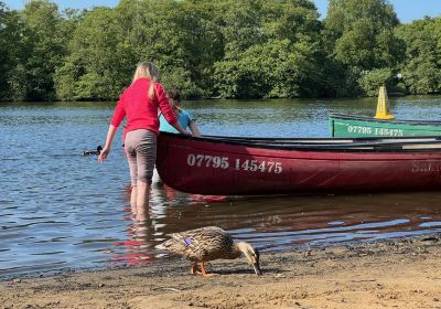 Salhouse Broad