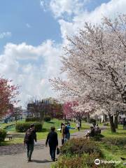 蒔田公園