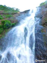 Palaruvi Waterfalls