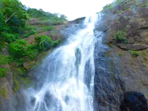 Palaruvi Falls