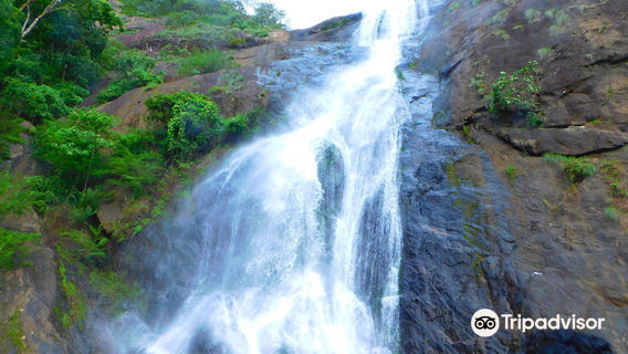 Palaruvi Falls
