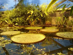 Greenhouses in the Botanical Garden