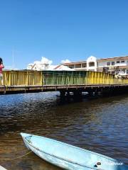 The Swing Bridge