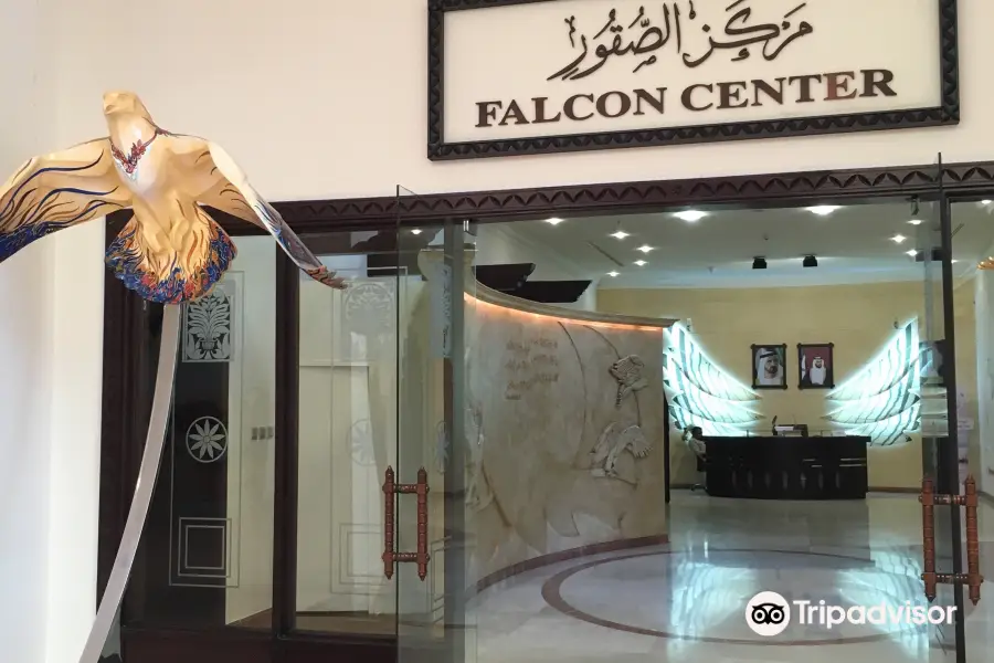Falcon Museum