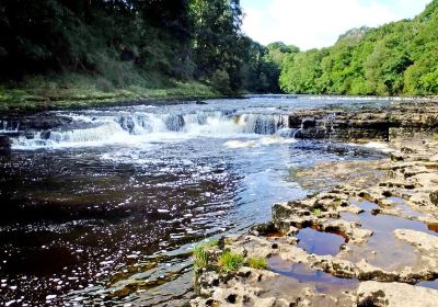 Aysgarth Falls Yorkshire Dales National Park Visitor Centre