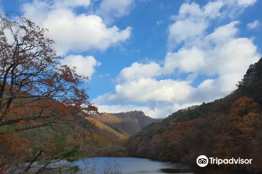 주산지