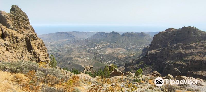 Mirador del Pico de los Pozos de la Nieve