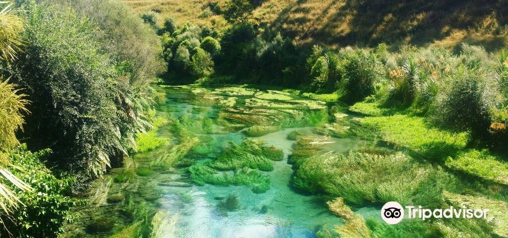 PutaruruTours