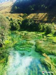 Blue Spring (Te Waihou Walkway), Whites Road entrance