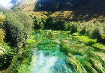 Te Waihou Walkway