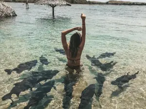 Lagoa dos Tambaquis