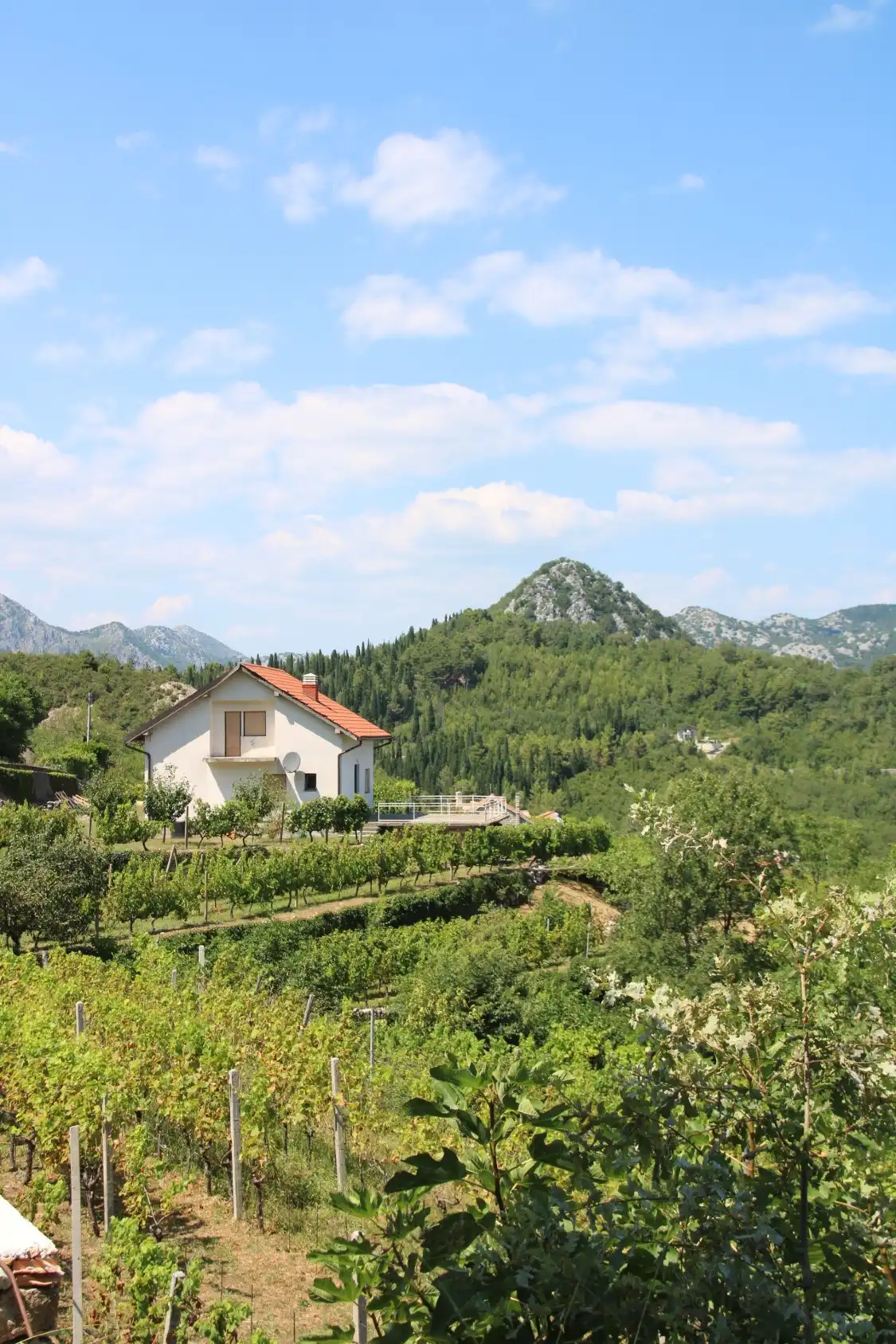 Hotels near Vinarija Buk