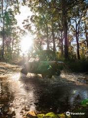 Back Track Buggys Tasmania