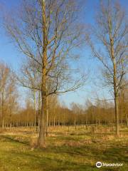 Whetmead Nature Reserve