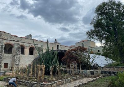 Jardín Etnobotánico de Oaxaca