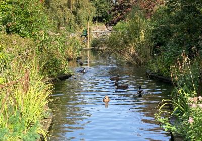 Reg's Award Winning Gardens