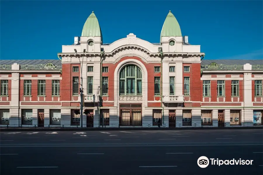 Novosibirsk Eyaleti Yerel Tarih Müzesi