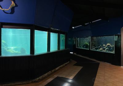 リーフ・ワールド水族館