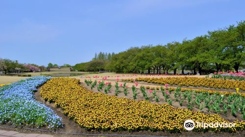 Botanic Gardens of Toyama