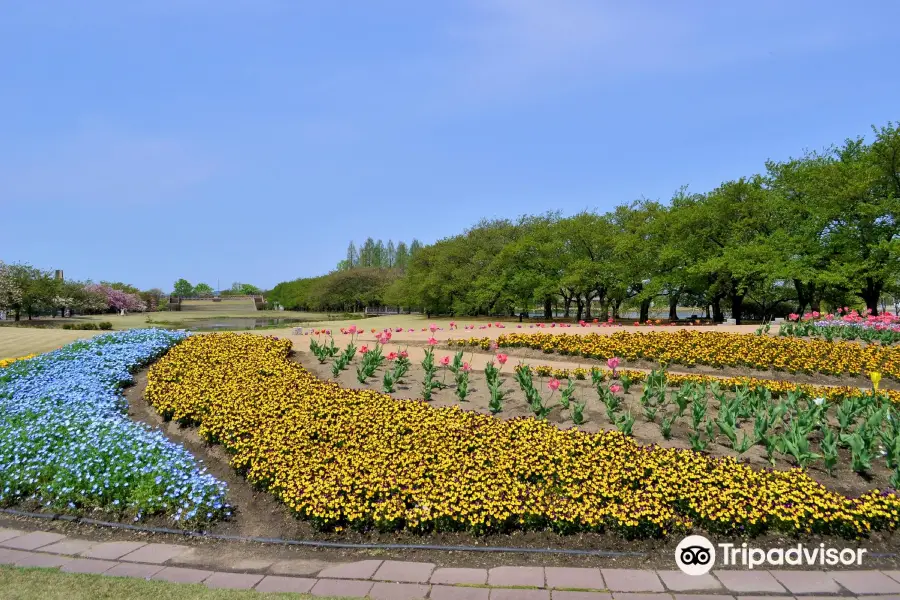 Botanic Gardens of Toyama