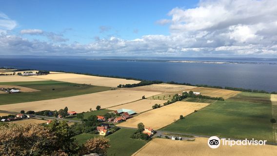 Brahehus