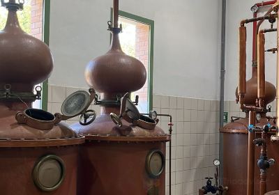Plomari Distillery–Isidoros Arvanitis S.A.