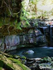 Carnarvon Gorge section, Carnarvon National Park