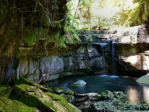 Carnarvon Gorge section, Carnarvon National Park